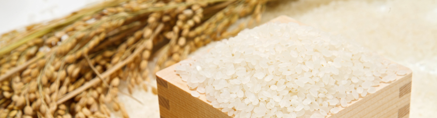 佐渡米コシヒカリ朱鷺の福